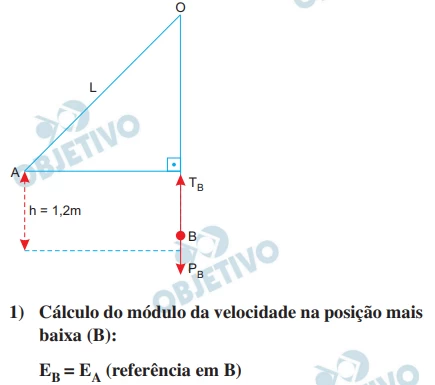 Questão 07 - FUVEST 2018