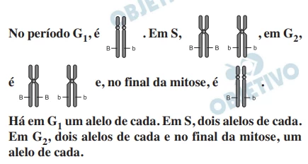 Questão 36 - FUVEST 2013