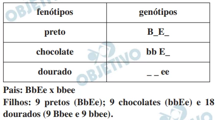 Questão 45 - FUVEST 2018