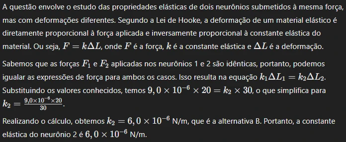 UNICAMP 2024