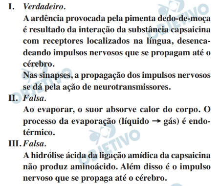 Questão 80 - FUVEST 2015
