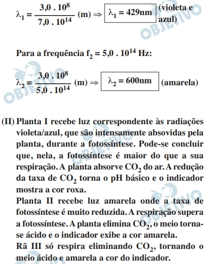 Questão 34 - FUVEST 2016