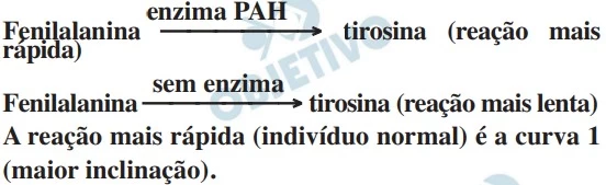 UNICAMP 2019