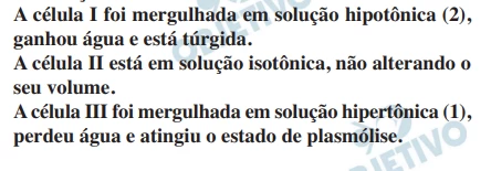 Questão 35 - FUVEST 2013