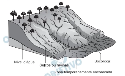 Questão 05 - Enem 2010 - Caderno Azul