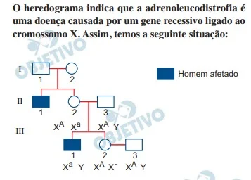 Resolução da Questão 27- FUVEST 2021 - Primeira Fase