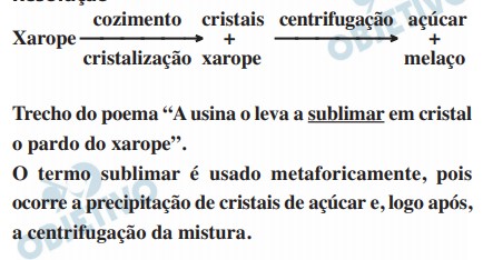 Resolução da Questão 80 - FUVEST 2021 - Primeira Fase